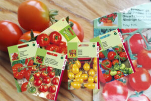 Lees meer over het artikel Tomaten buiten kweken: de beste rassen en verzorging