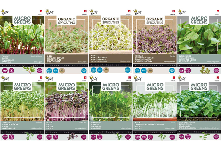 Je bekijkt nu 10 makkelijkste soorten kiemgroenten en microgroenten om zelf te kweken